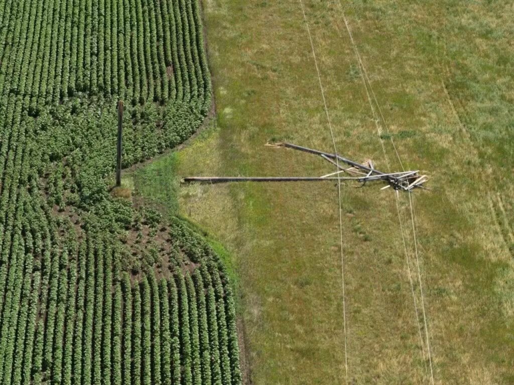 Energy Central tweet media