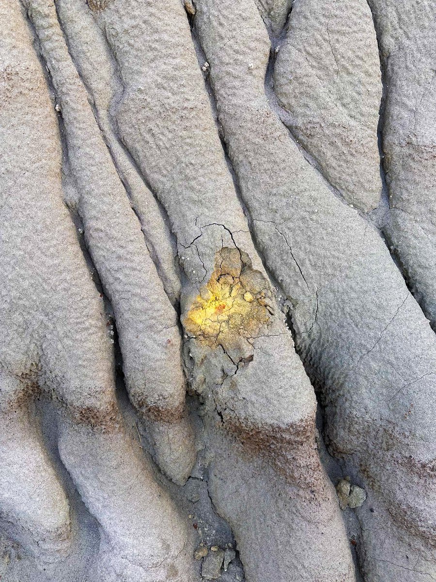 prairieguy2016's tweet image. Thinking Thursday! So many questions as I sit &amp;amp; just wonder. How? Why? What the world looked like? Thinking &amp;amp; wondering…
prairiewanderlust.etsy.com #photography #nature #wandering #montana #badlands #prairie