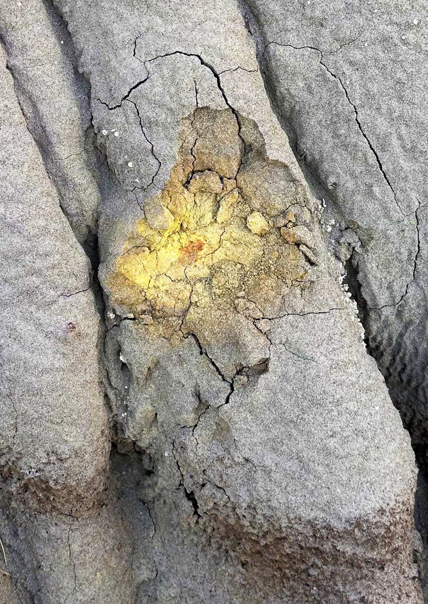 prairieguy2016's tweet image. Thinking Thursday! So many questions as I sit &amp;amp; just wonder. How? Why? What the world looked like? Thinking &amp;amp; wondering…
prairiewanderlust.etsy.com #photography #nature #wandering #montana #badlands #prairie