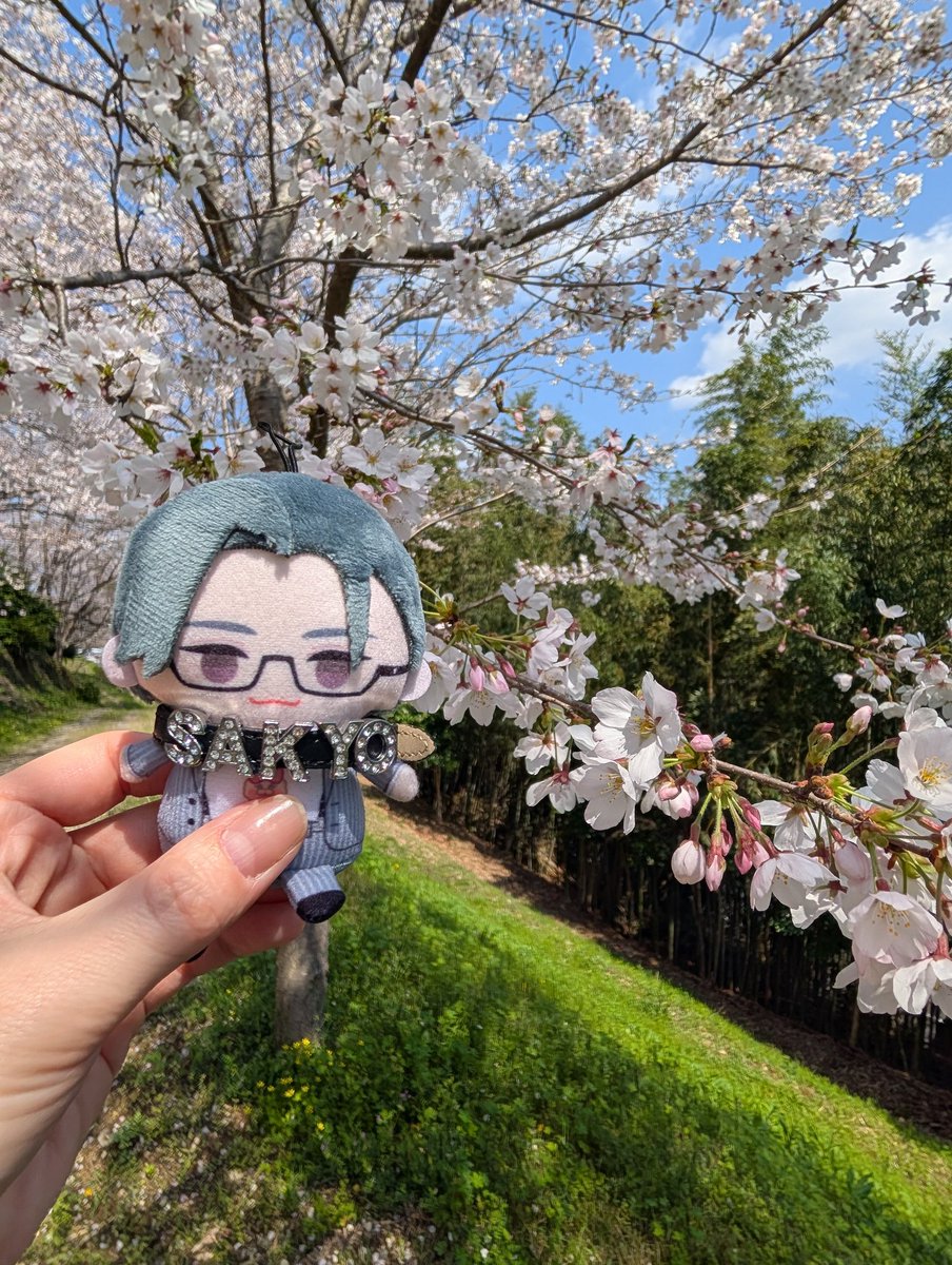 火音-かおん-🌹🌙 tweet media