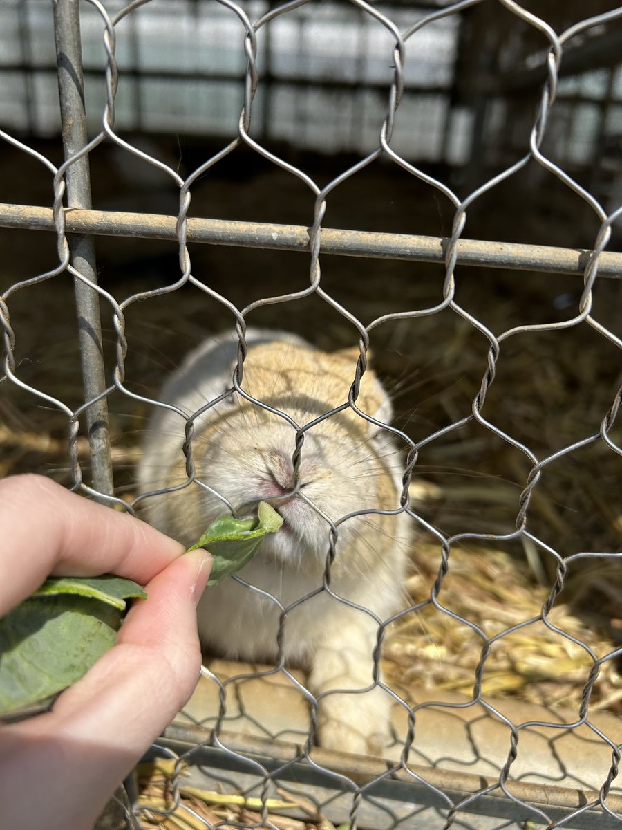 自己肯定感激低社不 tweet media