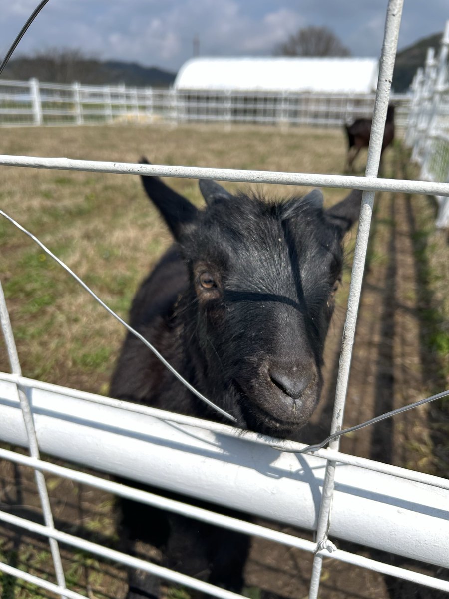 自己肯定感激低社不 tweet media