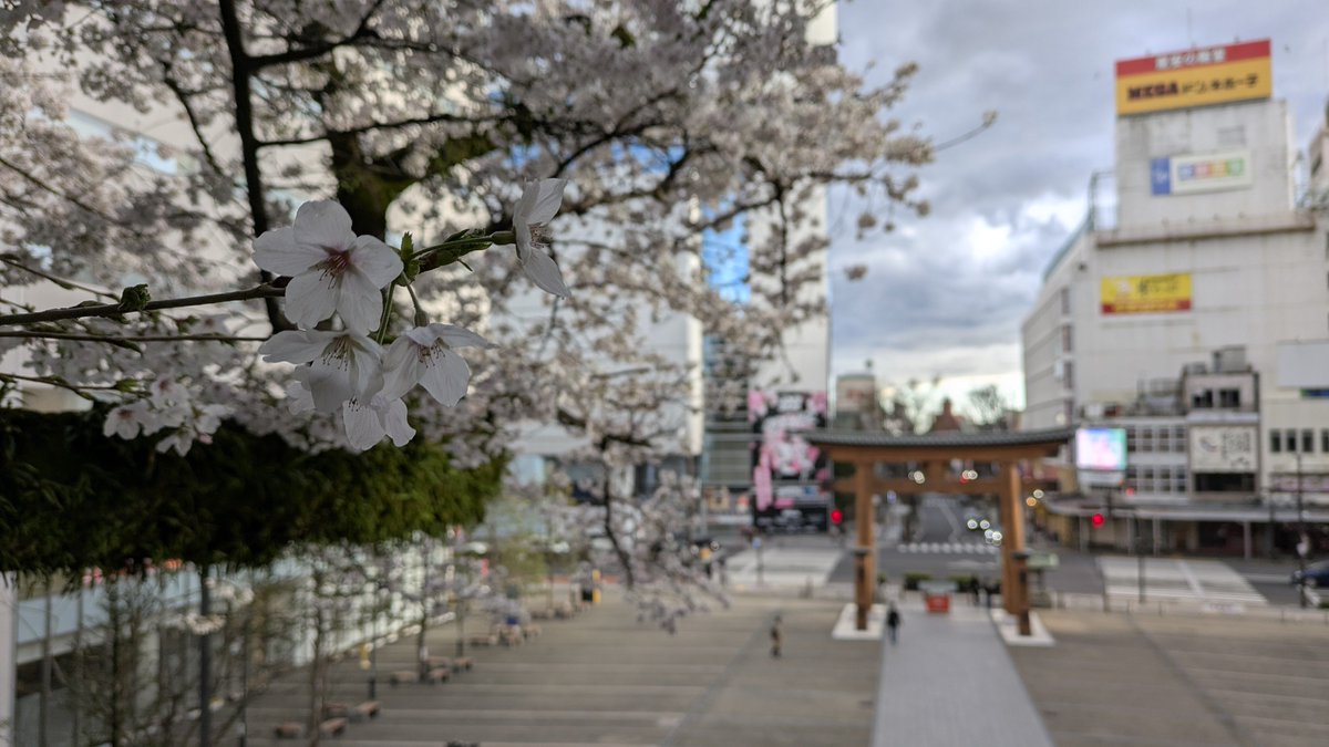 モルダー2号　\(も)/ tweet media