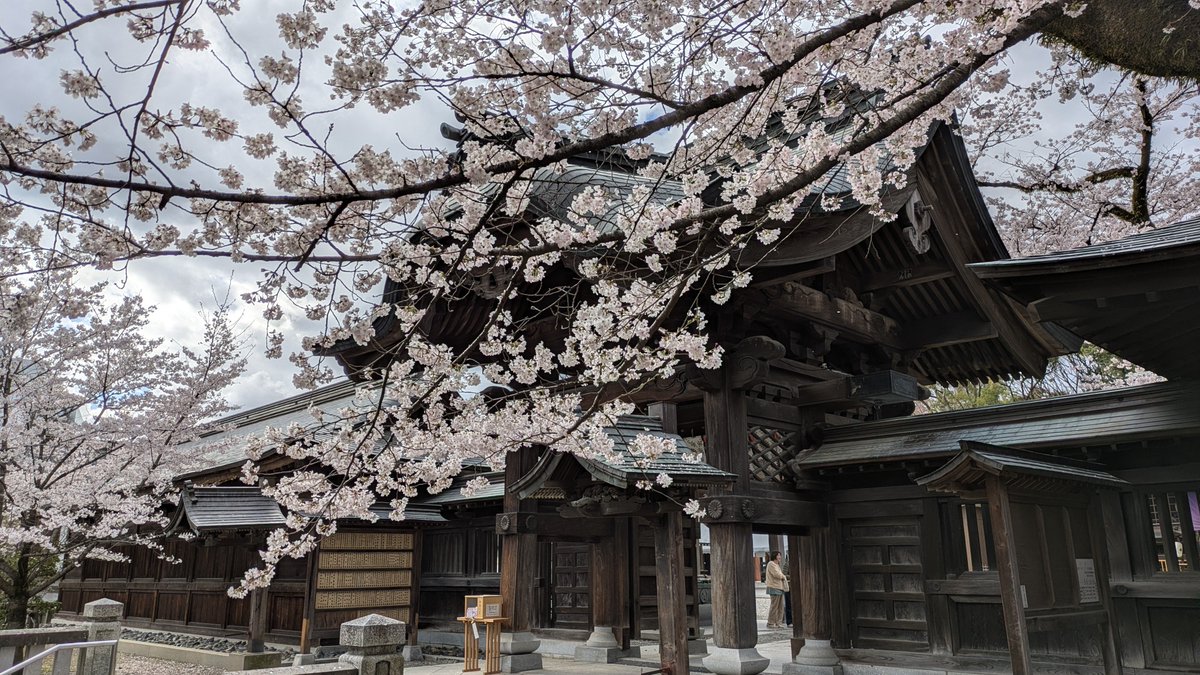 モルダー2号　\(も)/ tweet media