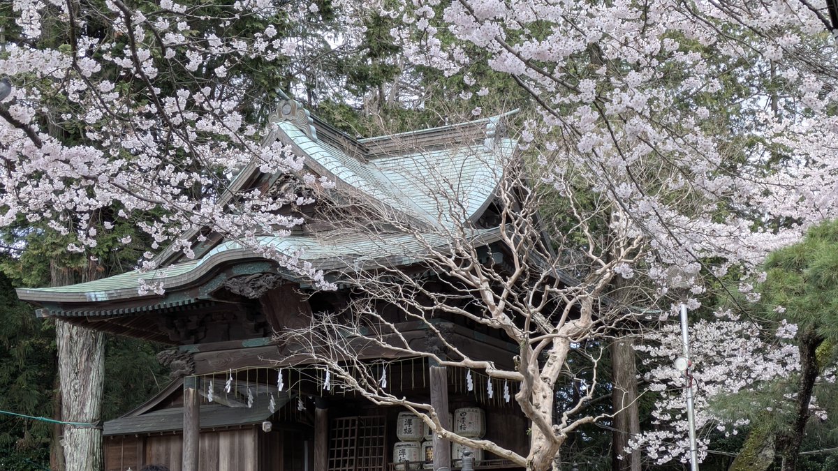 モルダー2号　\(も)/ tweet media