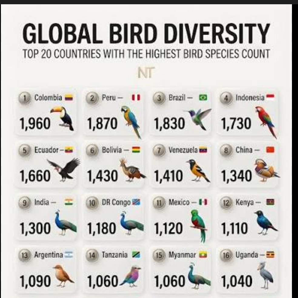 Andres Celis tweet media