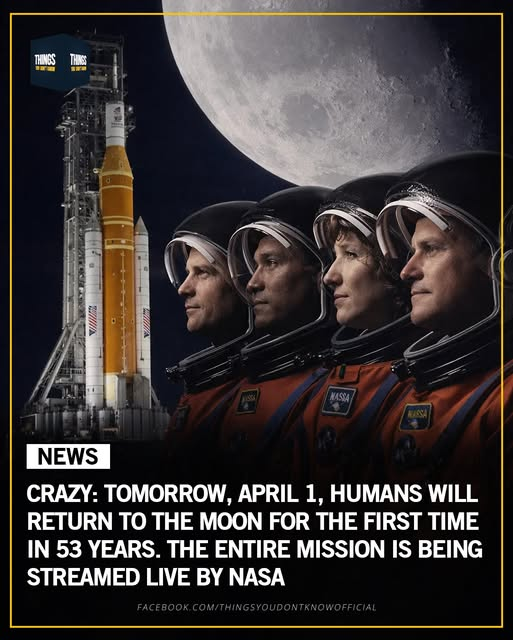 Annette Montgomery tweet media