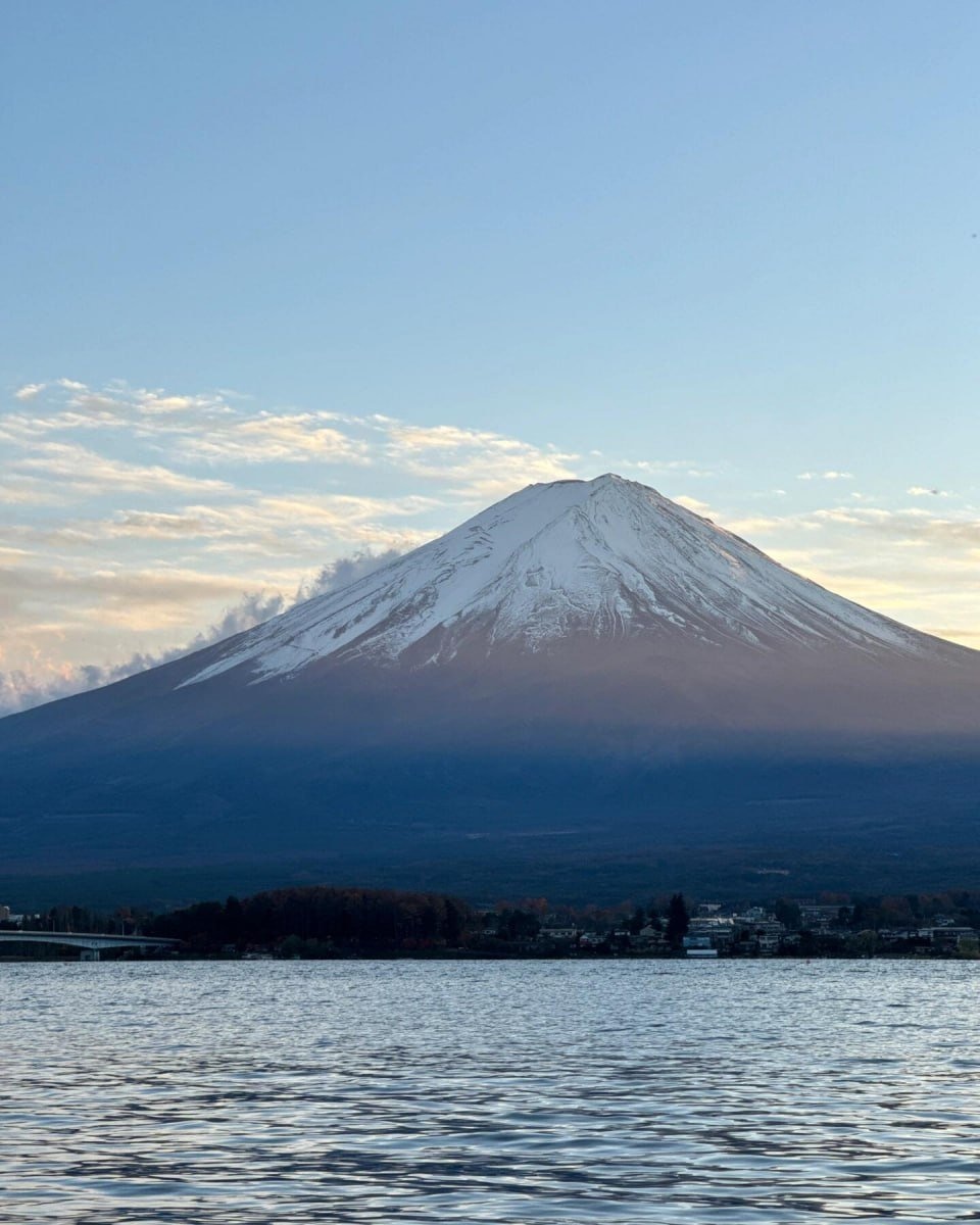 Ŕisk taker tweet media