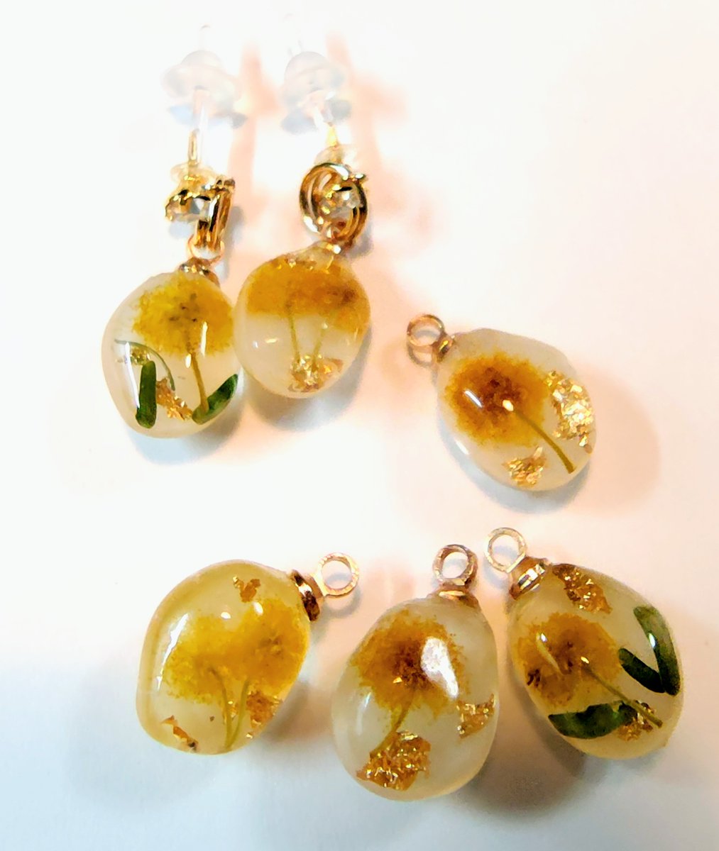 頂いたミモザをドライフラワーにしたので練習ーなんかありそうなやつになった