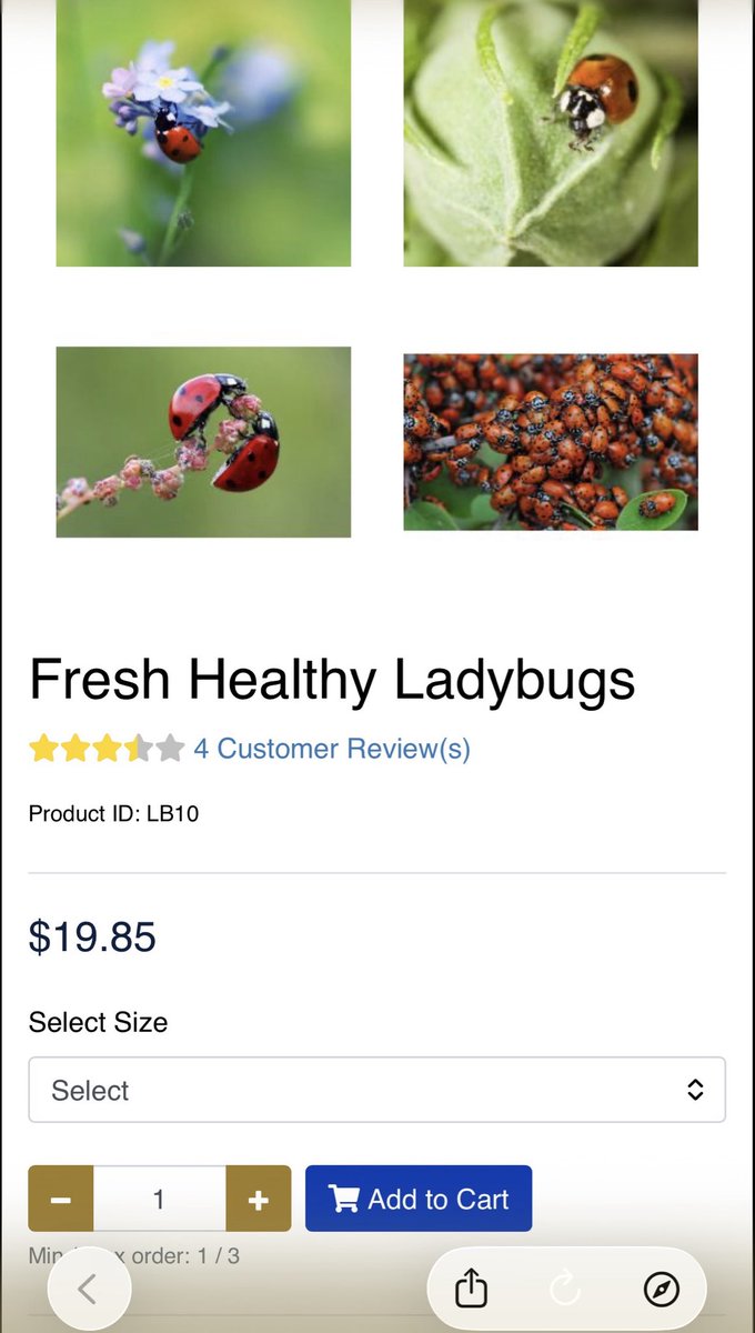 Cem Tamay tweet media