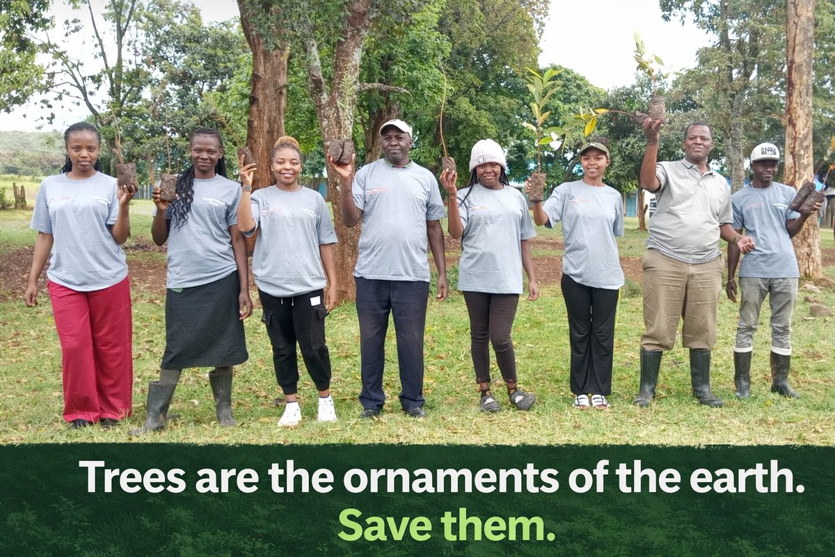 together 4trees tweet media