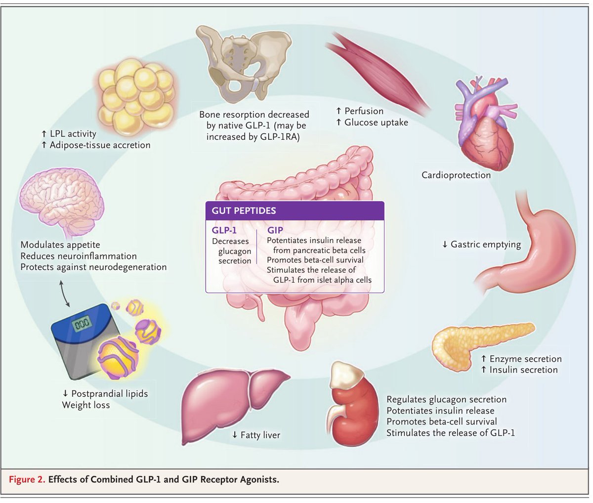 Medicina Interna HCSBA tweet media