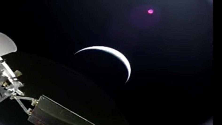 Nekomesha tweet media