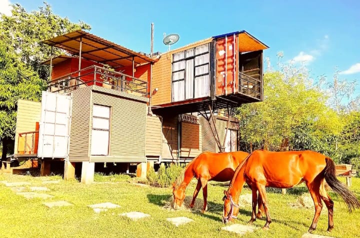 Perfect Strangers Safaris tweet media