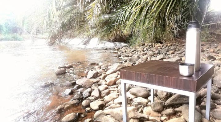 Perfect Strangers Safaris tweet media