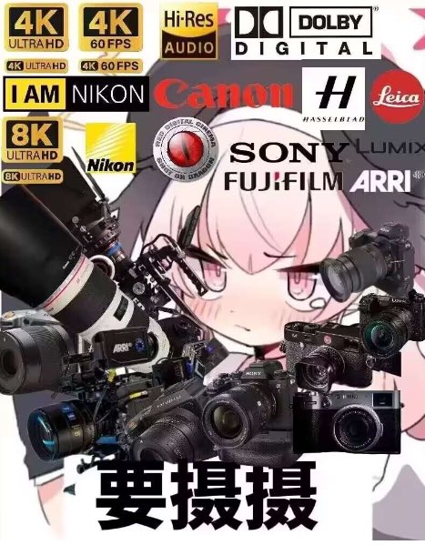 博丽绳社 tweet media
