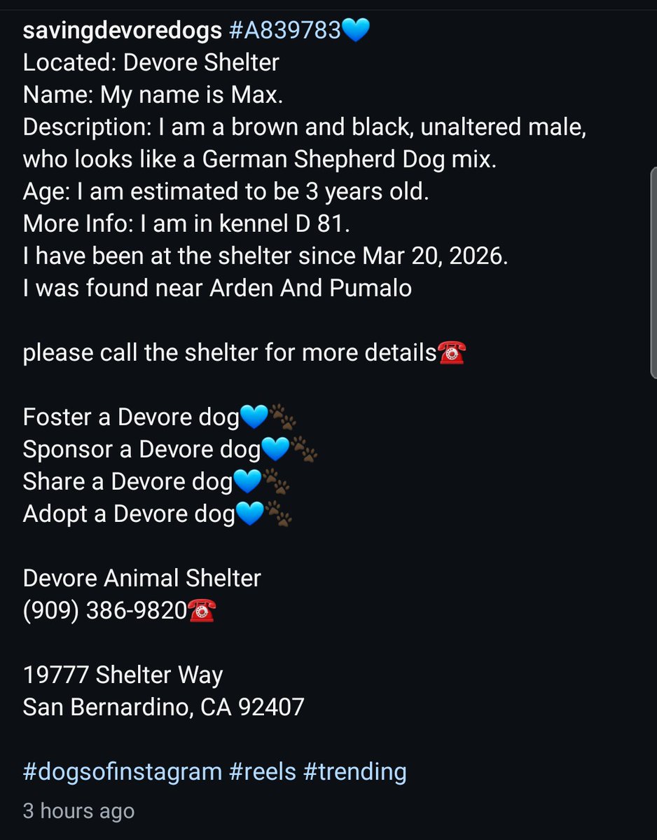 Foster a shelterpet at ZERO COST🐾 tweet media