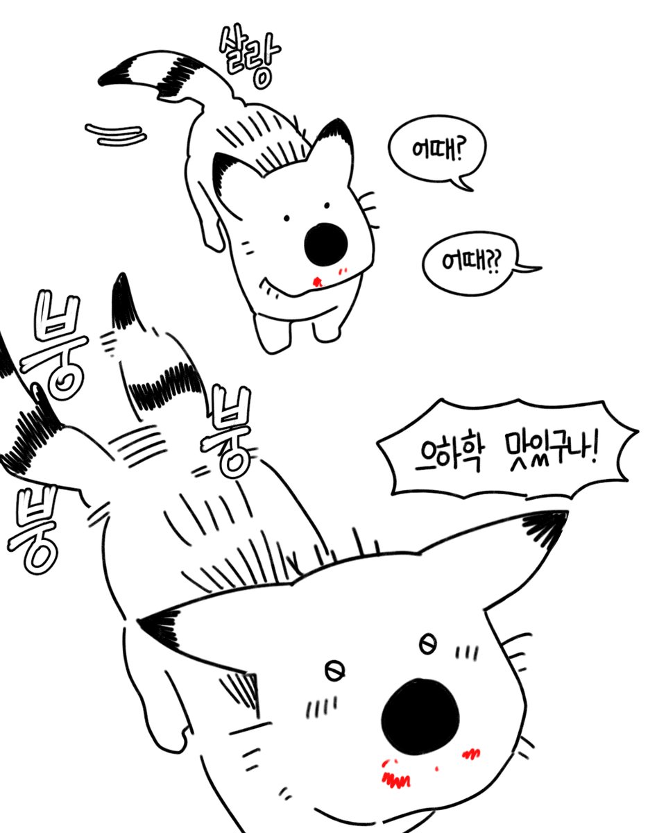 강아지똥 tweet media