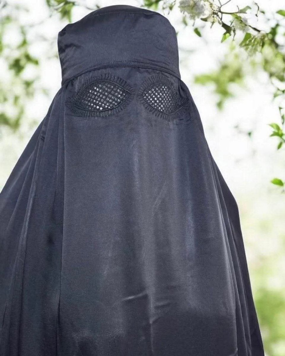 ちゃんほた🌸 tweet media