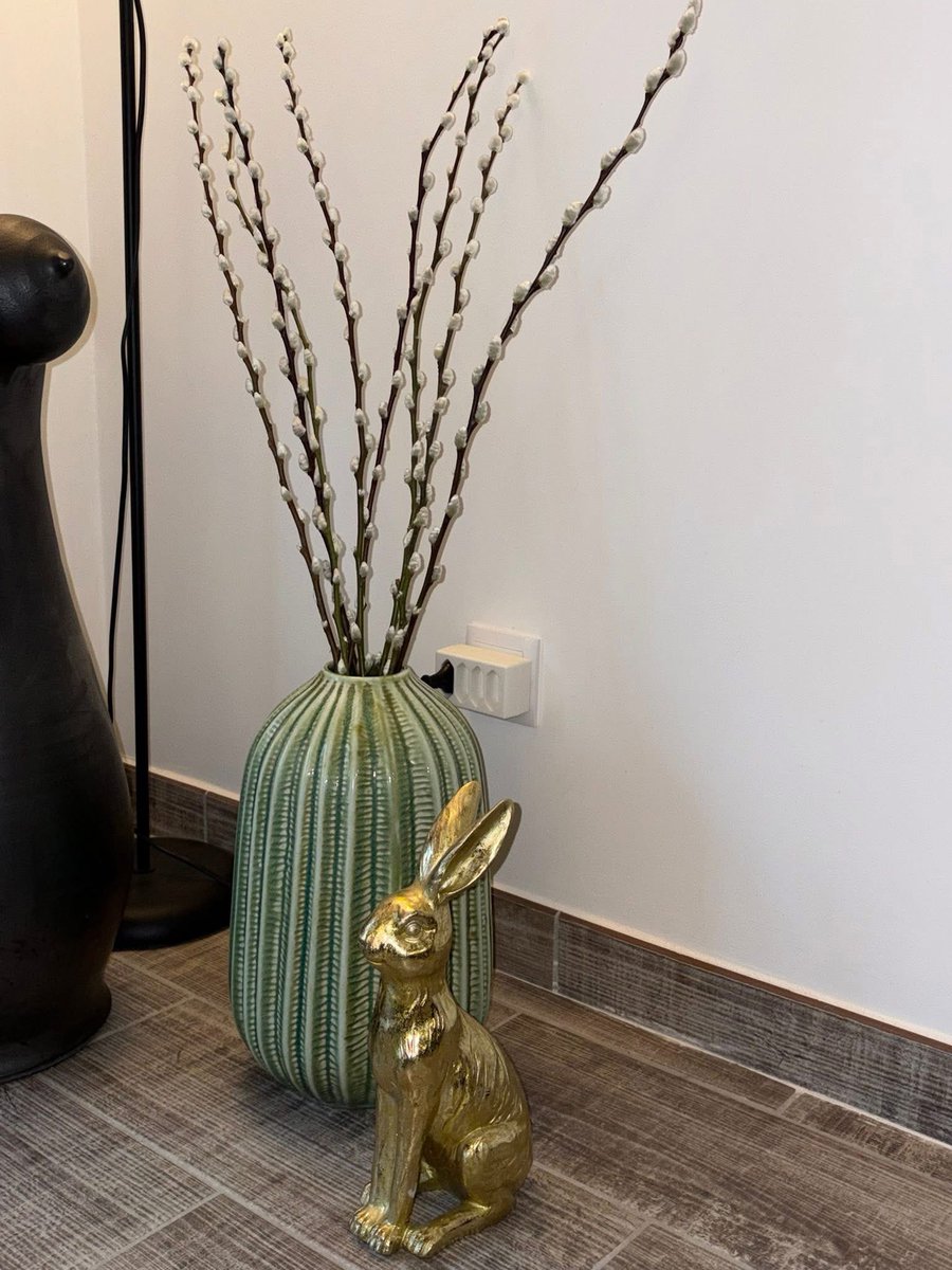 No Strange Kate tweet media