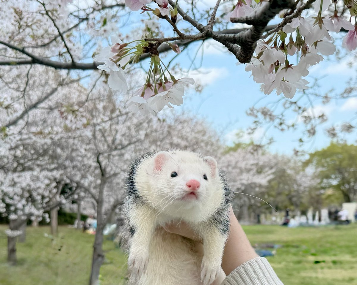 あくりろにとりる♡𖤐 ̖́- tweet media