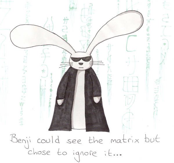 The Bunarium (Martin, Luna, and Rory) tweet media