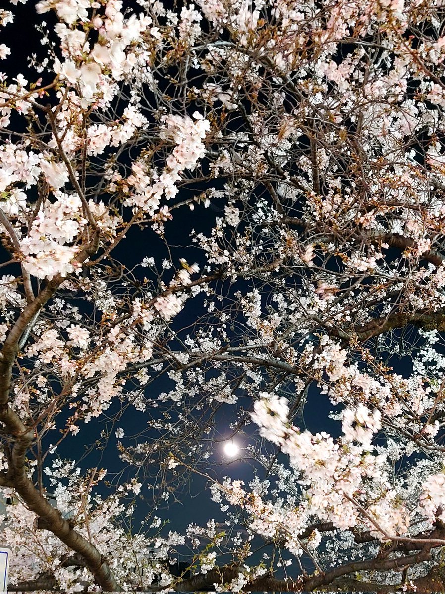 カイTK 原型製作業 tweet media