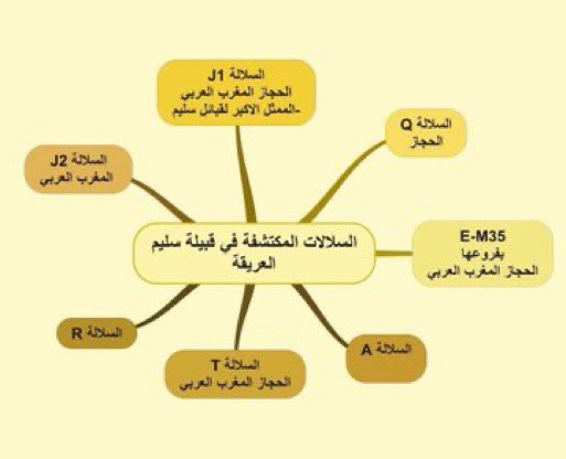 درع تميم الوهيبي الحنظلي tweet media