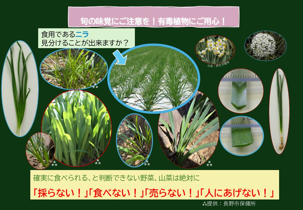 農林水産省 tweet media