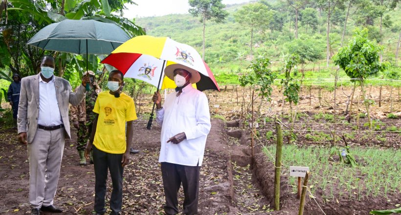 Hannington G. Mbabazi tweet media