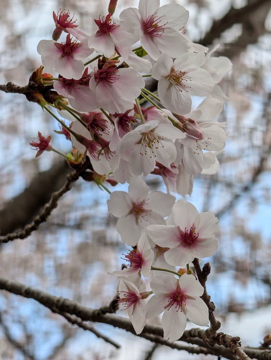 バッシー843☆ tweet media