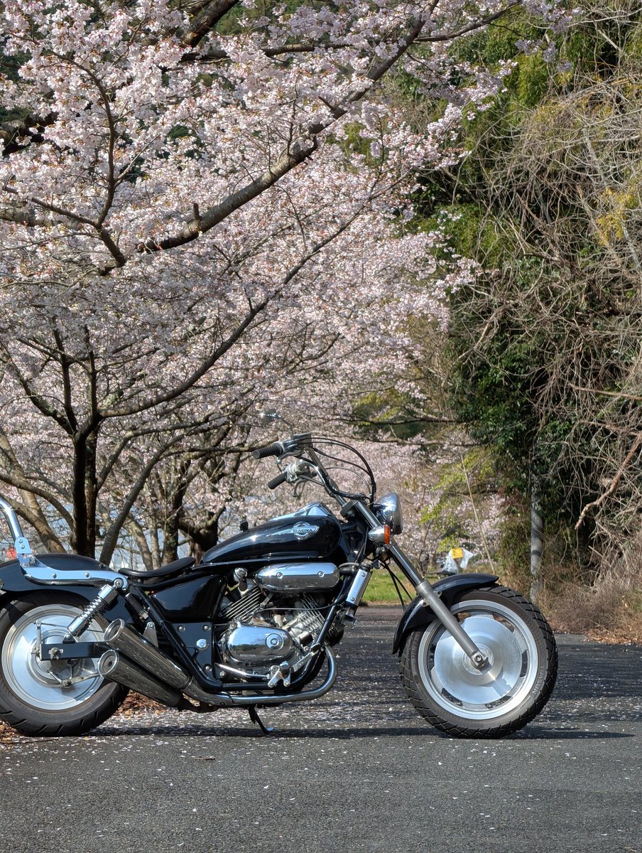 バッシー843☆ tweet media