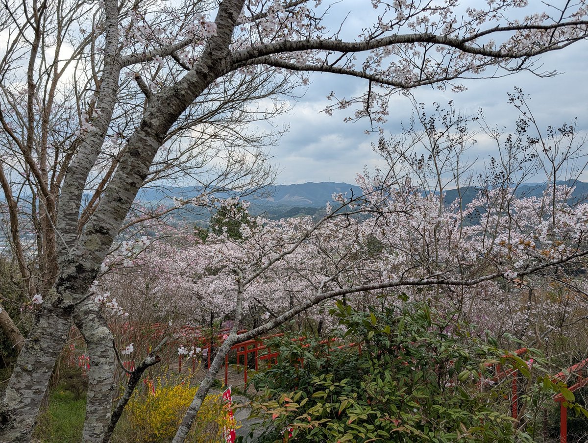 バッシー843☆ tweet media