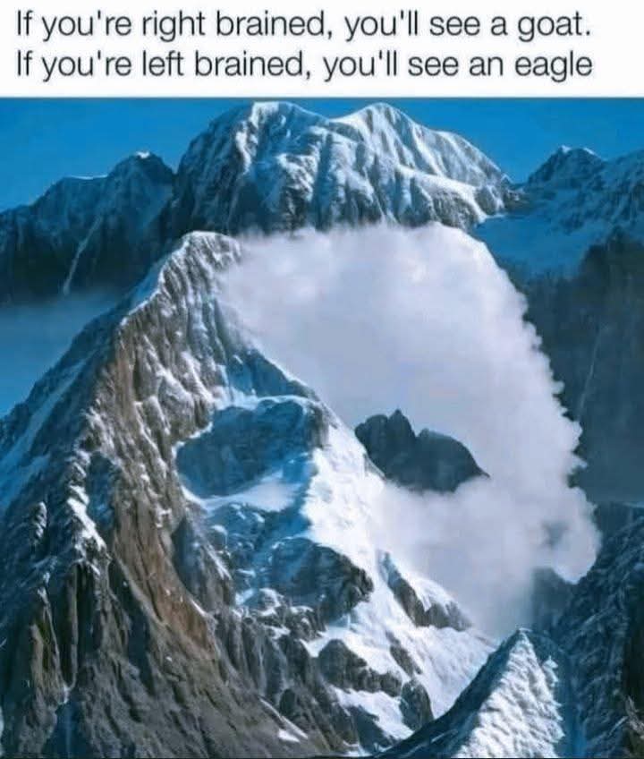 Nomes ❤️ tweet media