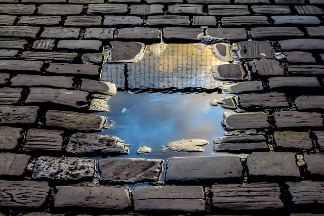 Don Calimlim tweet media