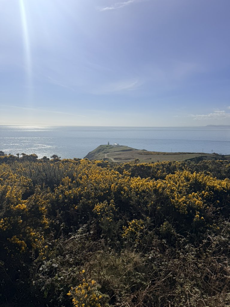 Elow’ 🦅🐝 Elye on t’aime Elye on t’adore 🫶 tweet media