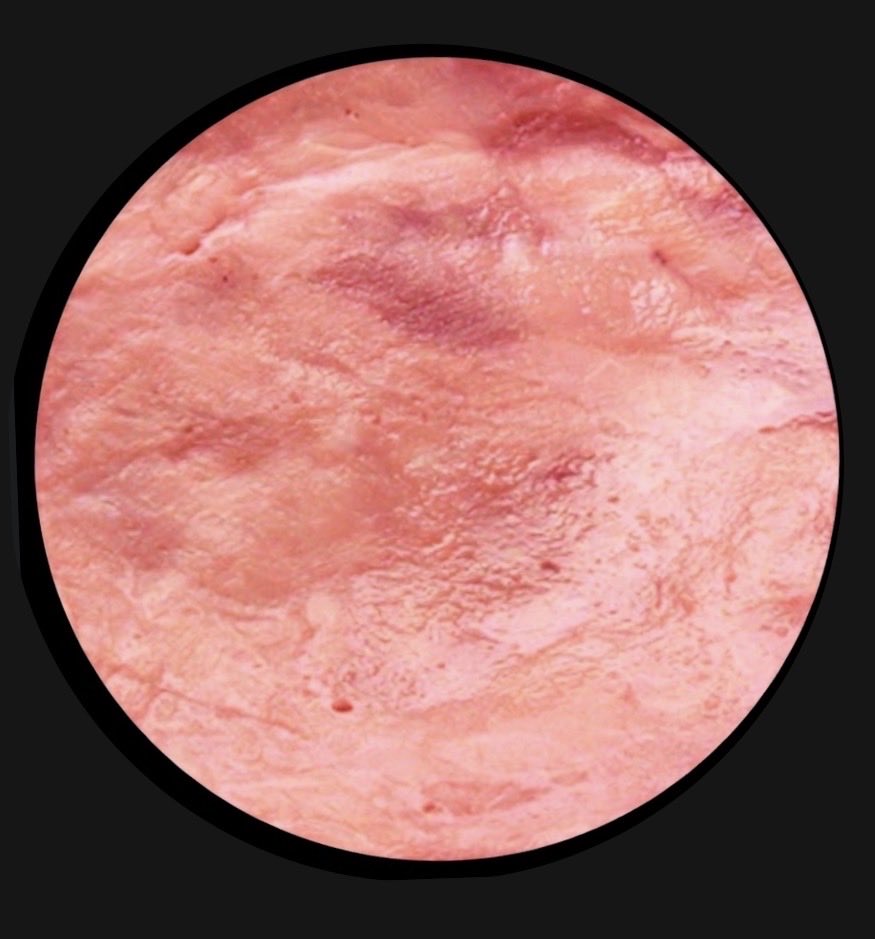 SAITO HAM tweet media