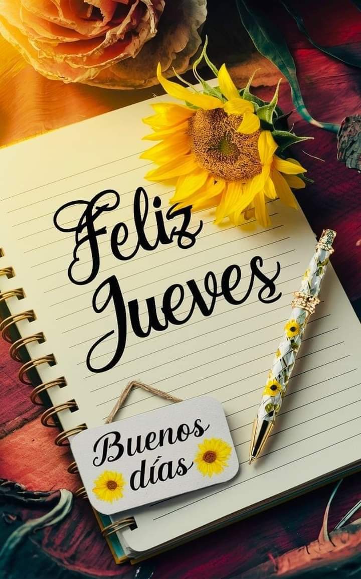 augusto boggiano tweet media