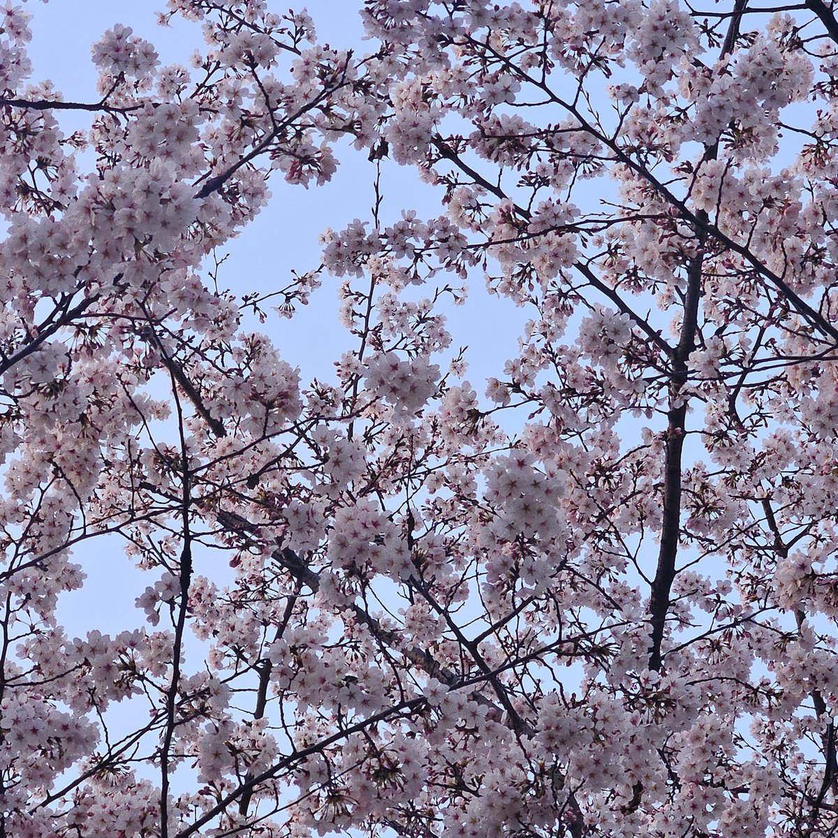 루디나 Ludina🌙🔮 tweet media