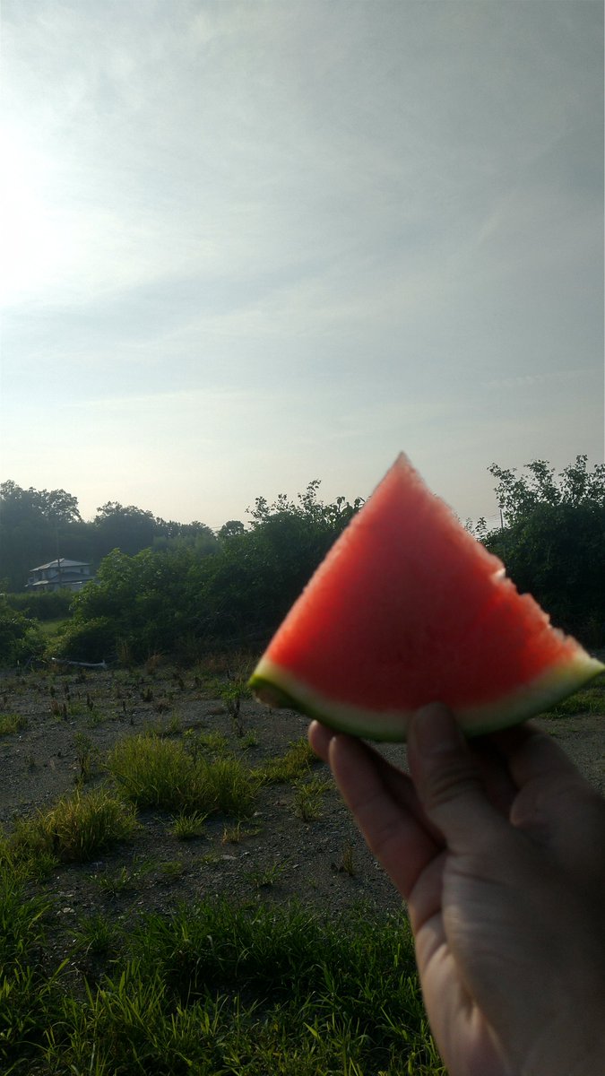 はしもと なおや tweet media