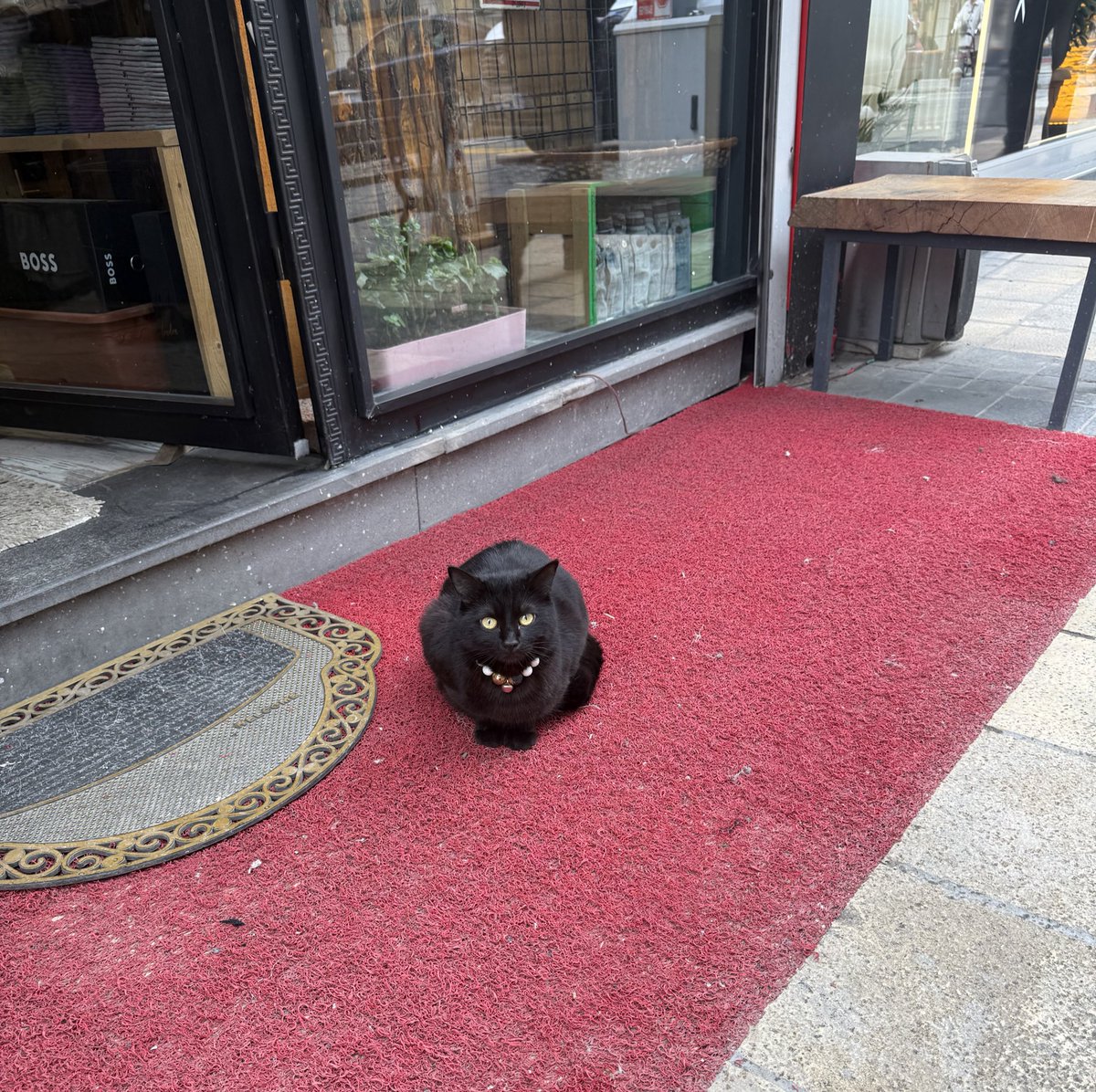 kayserisucukpastırma tweet media