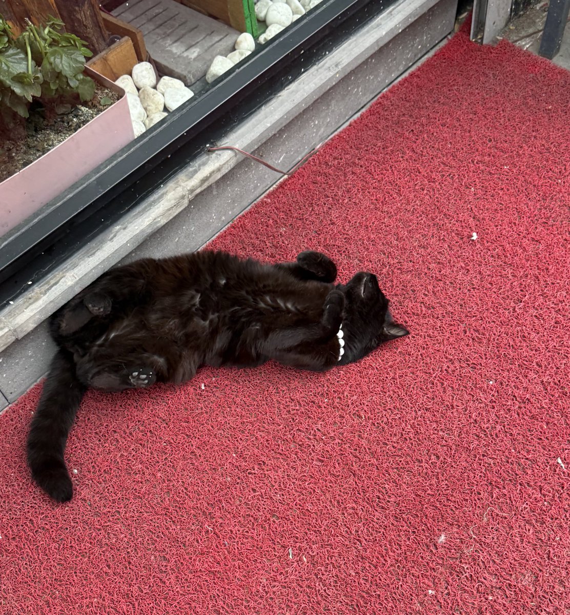 kayserisucukpastırma tweet media