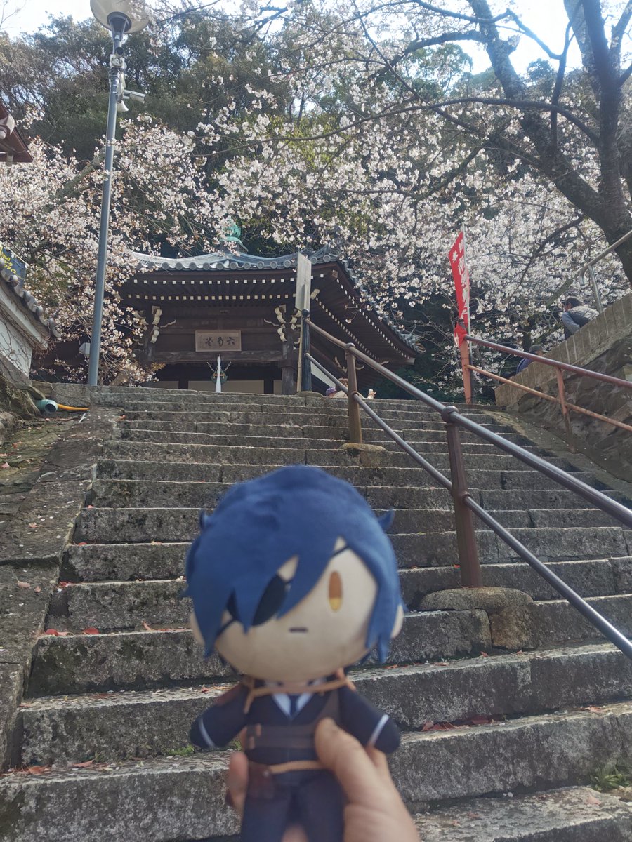 愛花 tweet media
