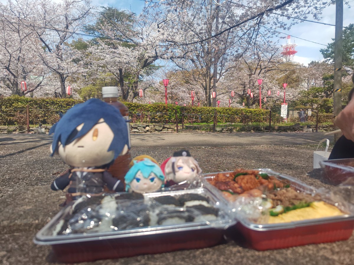 愛花 tweet media