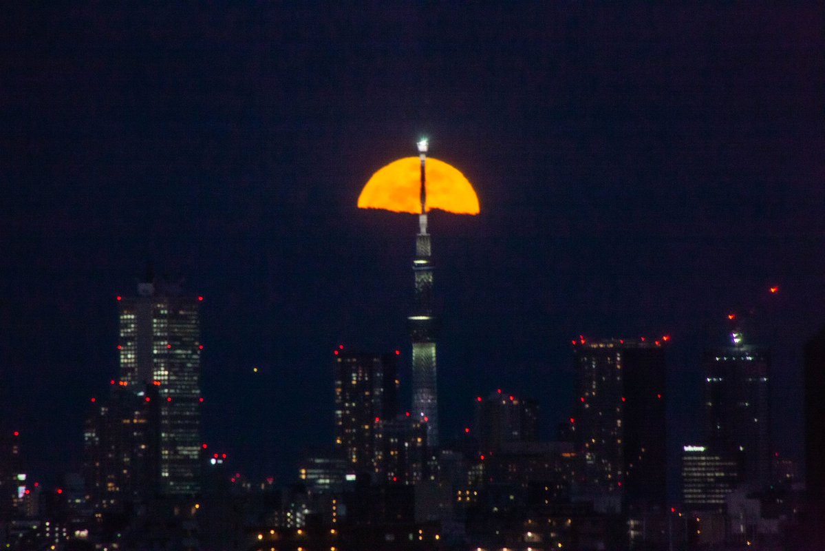 roncan0914 tweet media