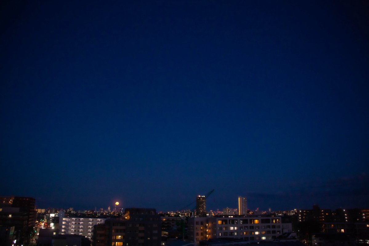 roncan0914 tweet media