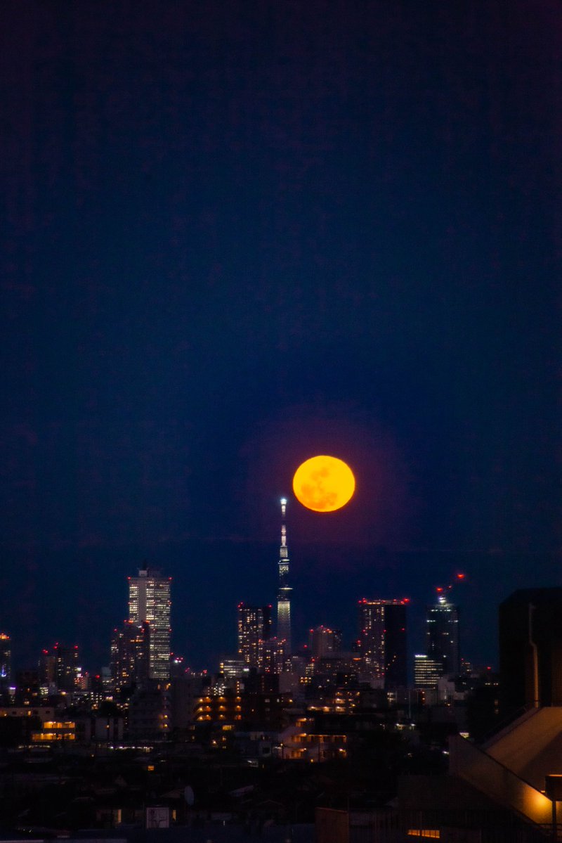 roncan0914 tweet media