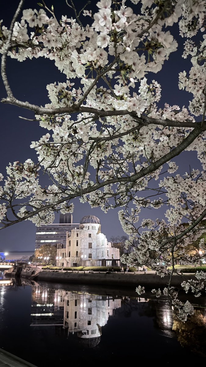 ty200000's tweet photo. 雨降ったけど桜落ちてなくて良かった。
風も無くて綺麗な川面の原爆ドーム。 https://t.co/wyR2rAYZ0f