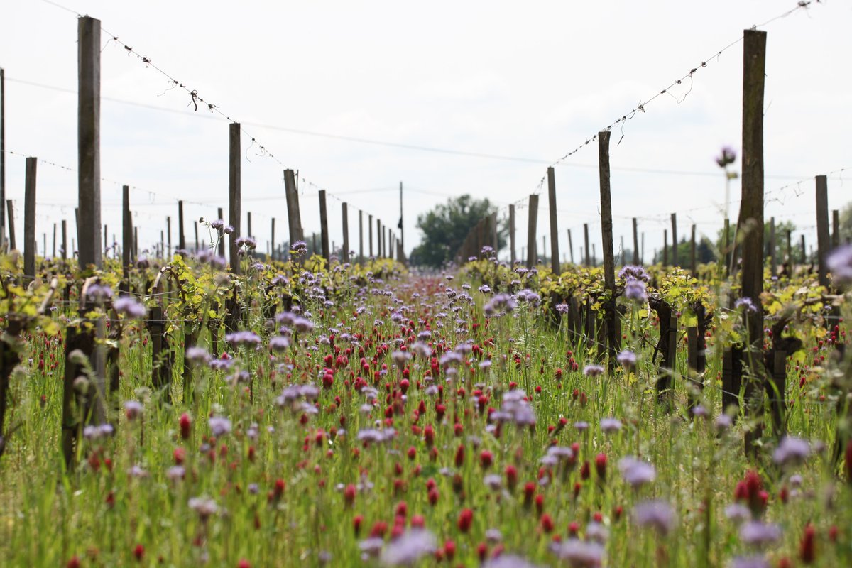 Benjamin Hessel tweet media