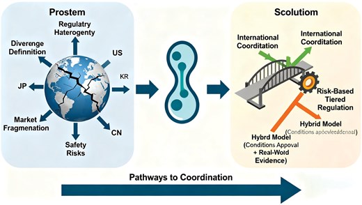 STEM CELLS Translational Medicine tweet media